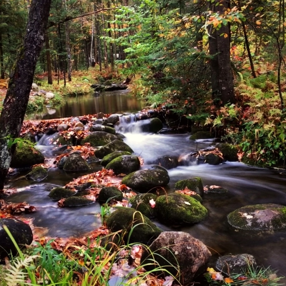 Meet your Posher, Nichole